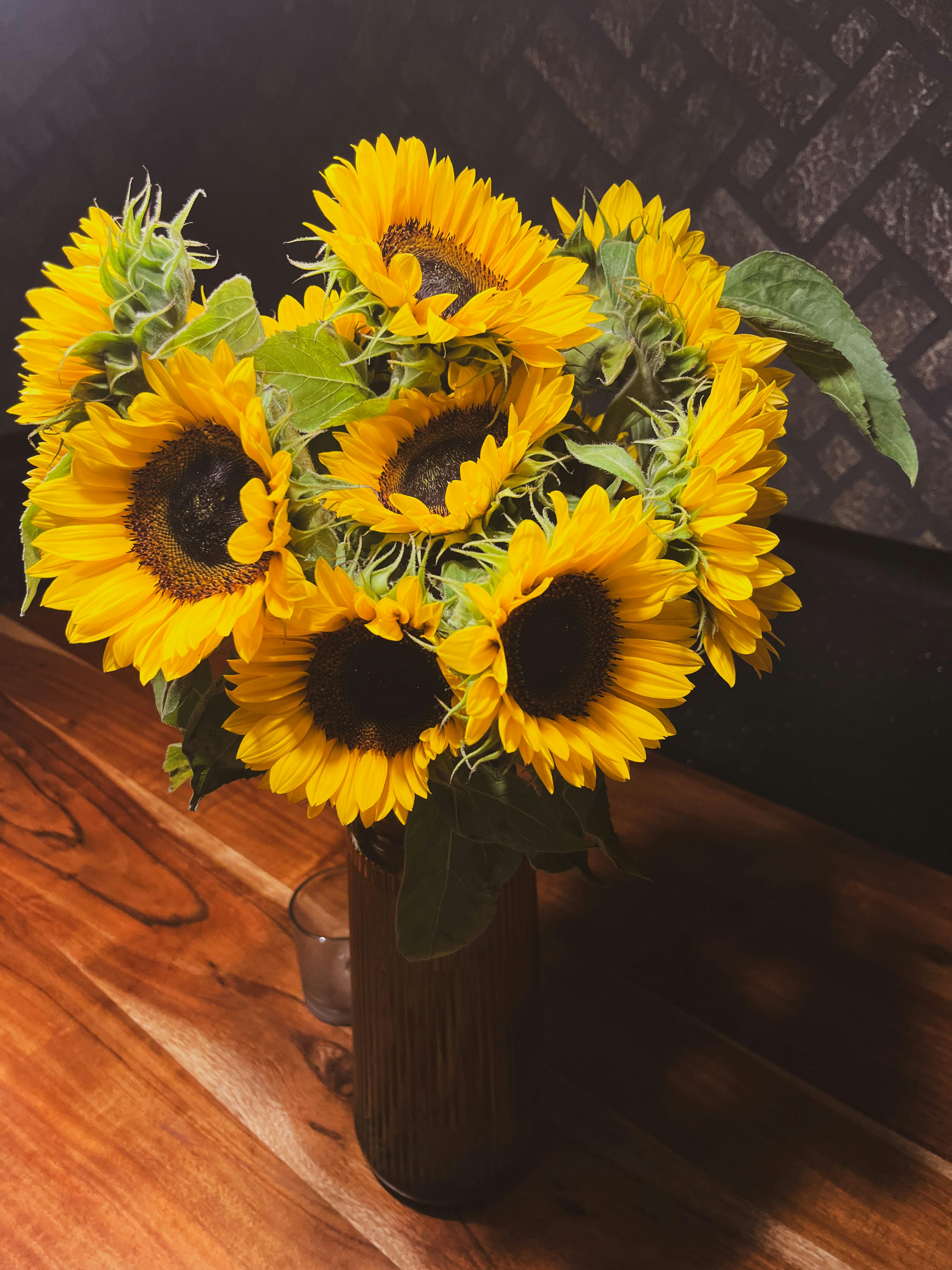 Sunflower Bundle